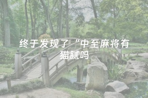 终于发现了“中至麻将有猫腻吗（助赢神器通用版）
