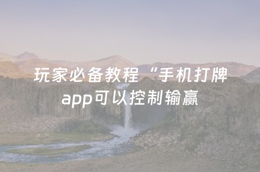 玩家必备教程“微乐广东麻将神器（专用辅牌神器免安装）