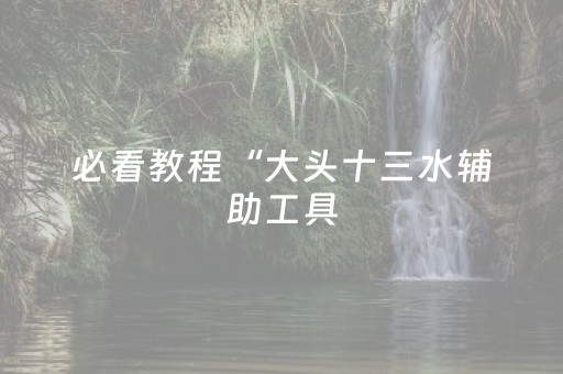 必看教程“大头十三水辅助工具（助赢神器通用版）