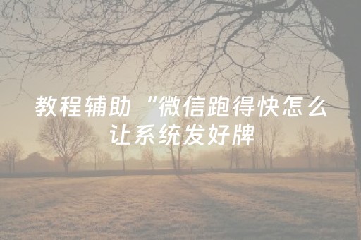 教程辅助“微信跑得快怎么让系统发好牌（专用辅牌神器免安装）