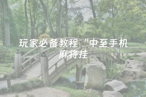 玩家必备教程“中至手机麻将挂（专用辅牌神器免安装）