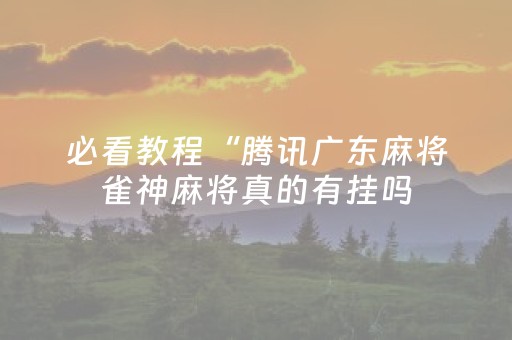 必看教程“腾讯广东麻将雀神麻将真的有挂吗（专用辅牌神器免安装）
