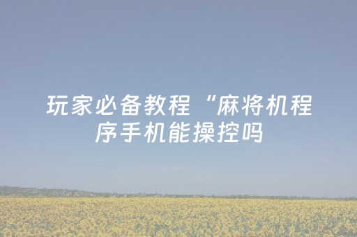 玩家必备教程“麻将机程序手机能操控吗（专用辅牌神器免安装）