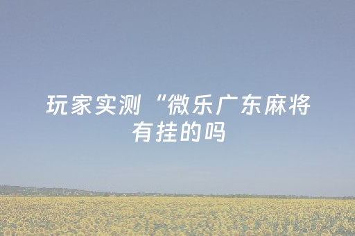 玩家实测“微乐广东麻将有挂的吗（助赢神器通用版）