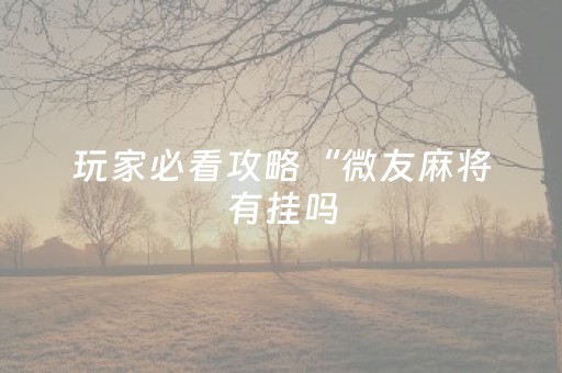 玩家必看攻略“手机雀神麻将辅牌器购买（专用辅牌神器免安装）