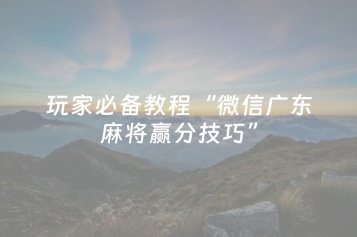 玩家必备教程“微信广东麻将赢分技巧”（详细透视教程）-哔哩哔哩