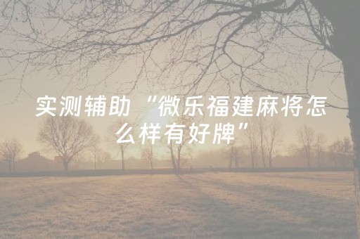 实测辅助“微乐福建麻将怎么样有好牌”（详细透视教程）-哔哩哔哩