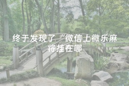终于发现了“微信上微乐麻将挂在哪（助赢神器通用版）