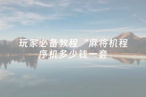 玩家必备教程“麻将机程序机多少钱一套（专用辅牌神器免安装）