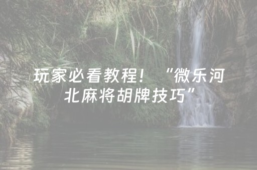 玩家必看教程！“微乐河北麻将胡牌技巧”（详细辅助教程）-哔哩哔哩