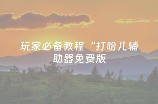 玩家必备教程“打哈儿辅助器免费版（专用辅牌神器免安装）