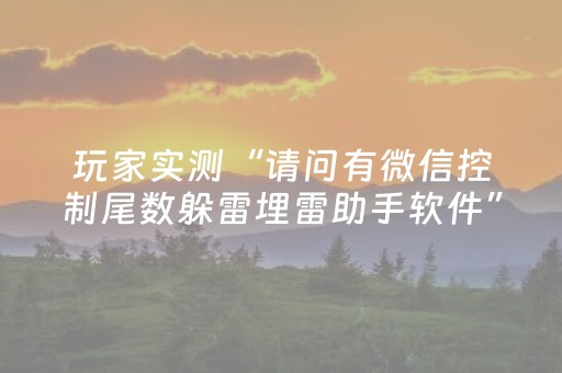 玩家实测“请问有微信控制尾数躲雷埋雷助手软件”（详细透视教程）-哔哩哔哩
