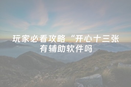 玩家必看攻略“开心十三张有辅助软件吗（专用辅牌神器免安装）