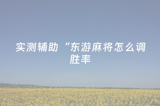 实测辅助“东游麻将怎么调胜率（助赢神器通用版）