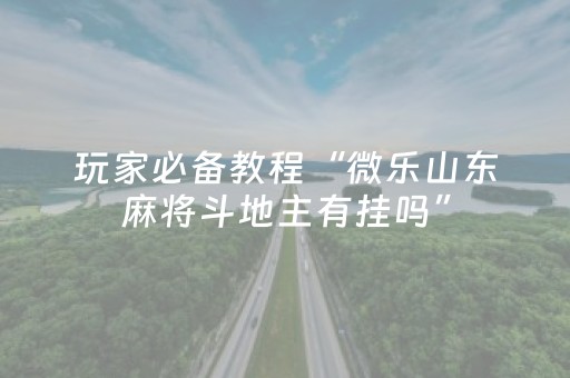 玩家必备教程“微乐山东麻将斗地主有挂吗”（详细透视教程）-哔哩哔哩