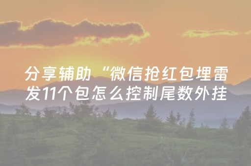 分享辅助“微信抢红包埋雷发11个包怎么控制尾数外挂”（详细透视教程）-哔哩哔哩