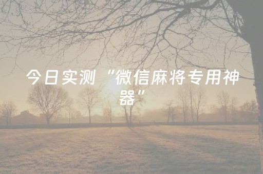 今日实测“微信麻将专用神器”（详细辅助教程）-哔哩哔哩