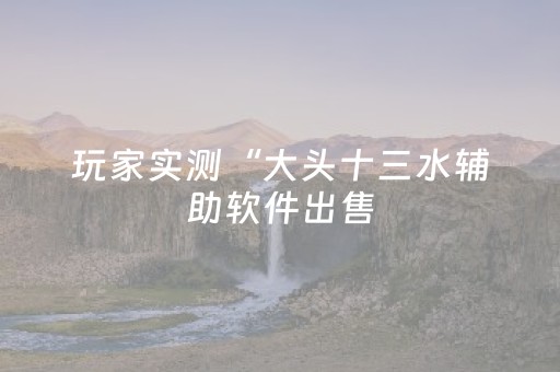 教程辅助“微乐手机麻将软件购买（专用辅牌神器免安装）
