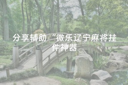 分享辅助“微乐辽宁麻将挂件神器（助赢神器通用版）