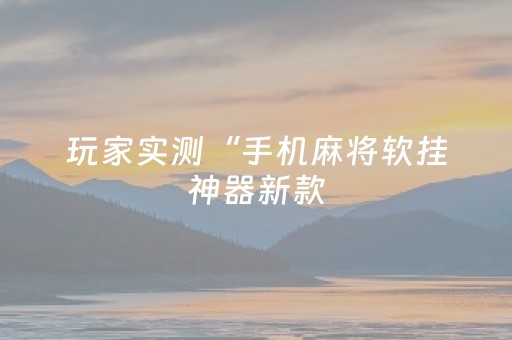 玩家实测“手机麻将软挂神器新款（助赢神器通用版）