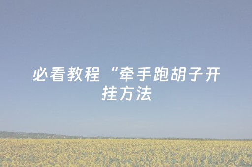 实测分享“功夫川麻辅助器v3.5.4在哪儿购买（专用辅牌神器免安装）
