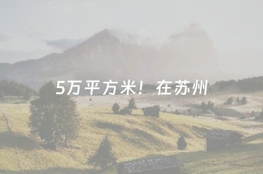 必看教程“微信金花辅助器通用版（助赢神器通用版）