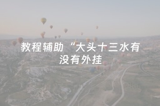 教程辅助“大头十三水有没有外挂（专用辅牌神器免安装）