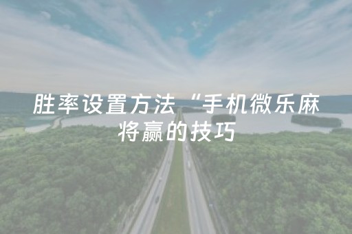 胜率设置方法“手机微乐麻将赢的技巧（助赢神器通用版）