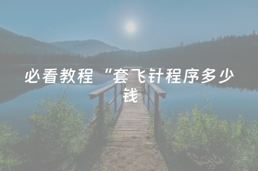 必看教程“套飞针程序多少钱（专用辅牌神器免安装）