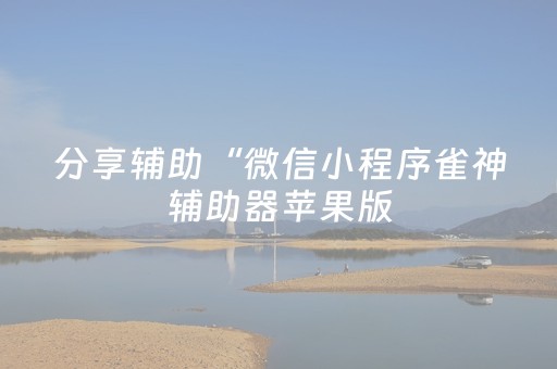 分享辅助“微信小程序雀神辅助器苹果版（助赢神器通用版）