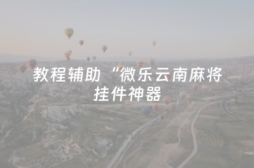 玩家实测“微乐挂先试用后付款（专用辅牌神器免安装）