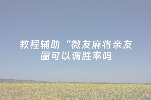 教程辅助“手机微乐麻将有挂吗（专用辅牌神器免安装）