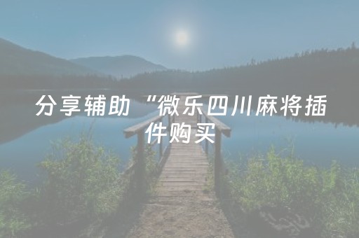 分享辅助“微乐四川麻将插件购买（助赢神器通用版）