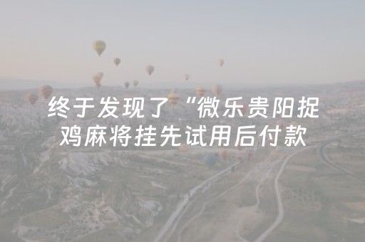 终于发现了“微乐贵阳捉鸡麻将挂先试用后付款（助赢神器通用版）