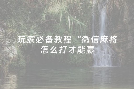 玩家必备教程“微信麻将怎么打才能赢（助赢神器通用版）