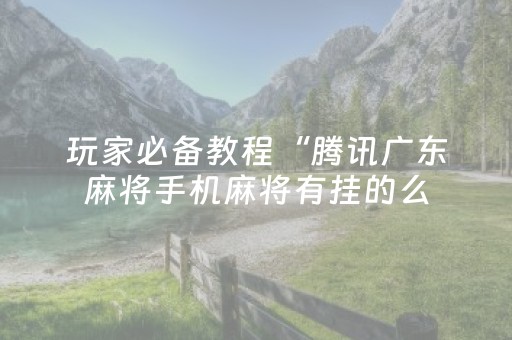 玩家必备教程“腾讯广东麻将手机麻将有挂的么（专用辅牌神器免安装）