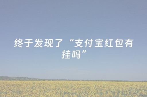 终于发现了“支付宝红包有挂吗”（详细透视教程）-哔哩哔哩