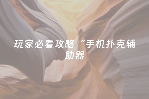 玩家必看攻略“手机扑克辅助器（专用辅牌神器免安装）