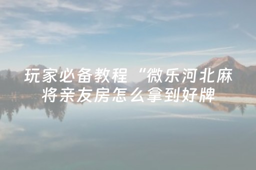 玩家必备教程“微乐河北麻将亲友房怎么拿到好牌（专用辅牌神器免安装）