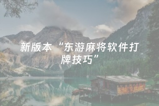 新版本“东游麻将软件打牌技巧”（详细透视教程）-哔哩哔哩