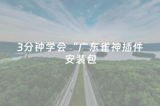 3分钟学会“广东雀神插件安装包（助赢神器通用版）