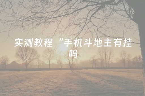 实测教程“手机斗地主有挂吗（助赢神器通用版）