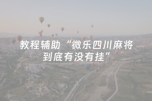 玩家必备教程“闲逸碰胡辅助器（专用辅牌神器免安装）