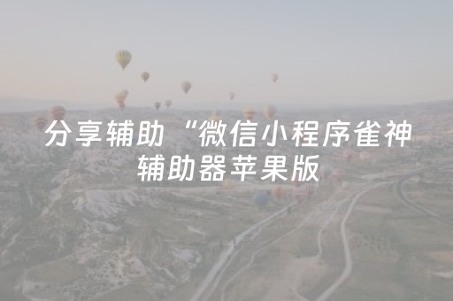 分享辅助“微信小程序雀神辅助器苹果版（专用辅牌神器免安装）