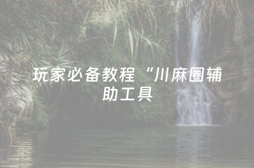 玩家必备教程“川麻圈辅助工具（专用辅牌神器免安装）