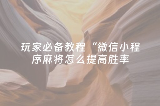 玩家必备教程“微信小程序麻将怎么提高胜率（专用辅牌神器免安装）