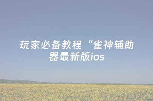玩家必备教程“雀神辅助器最新版ios（助赢神器通用版）
