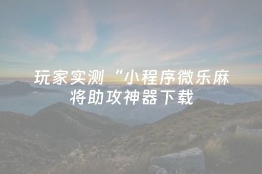 玩家实测“小程序微乐麻将助攻神器下载（专用辅牌神器免安装）