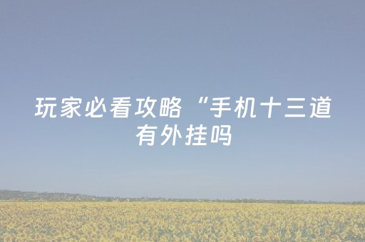 玩家必看攻略“手机十三道有外挂吗（专用辅牌神器免安装）