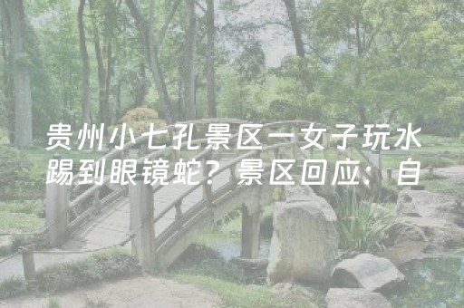 实测结果“手机跑得快黑科技软件”（详细透视教程）-哔哩哔哩